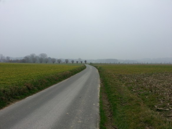 Grått idag men skönt med frisk luft. 