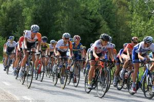 11885376_1181094588582652_6398611703947487156_n